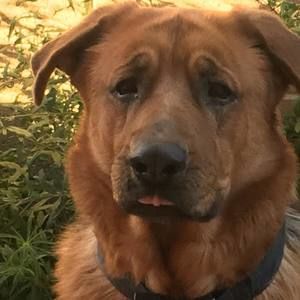 Meet your Posher, Kendra